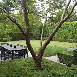 tuinarchitect-tuinarchitectuur-tuinen-tuinontwerp